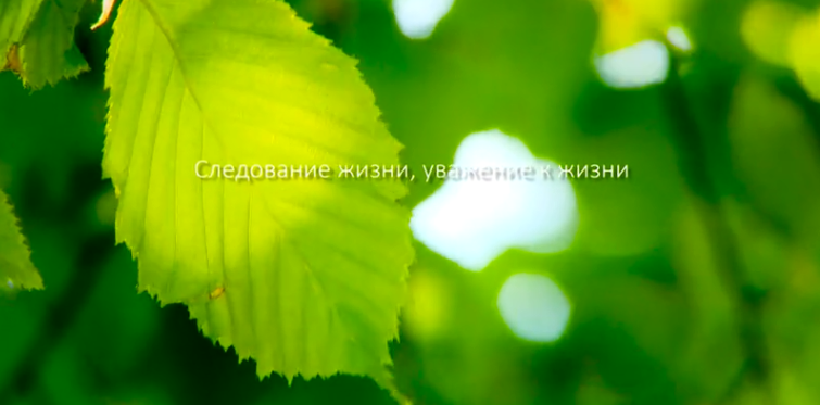 凯发k8集团形象片（русский）