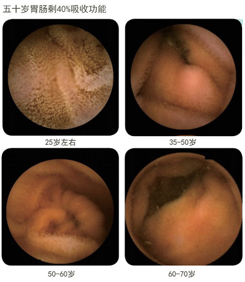 k8凯发(中国游)官方网站-APP下载