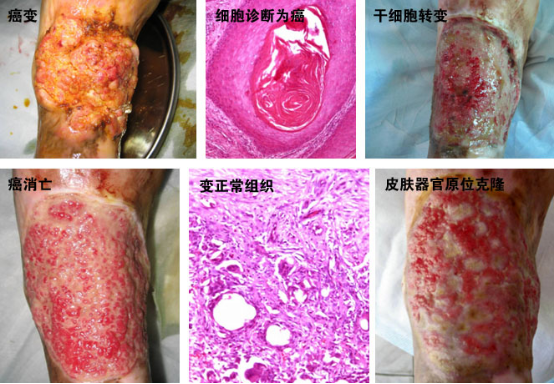 k8凯发(中国游)官方网站-APP下载