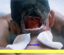 k8凯发(中国游)官方网站-APP下载