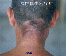 k8凯发(中国游)官方网站-APP下载