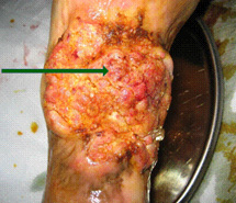 k8凯发(中国游)官方网站-APP下载