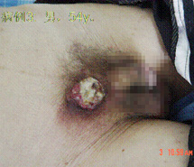 k8凯发(中国游)官方网站-APP下载