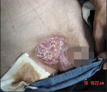 k8凯发(中国游)官方网站-APP下载