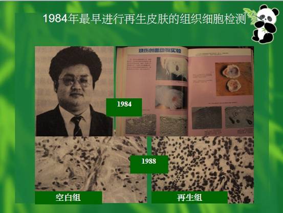 k8凯发(中国游)官方网站-APP下载