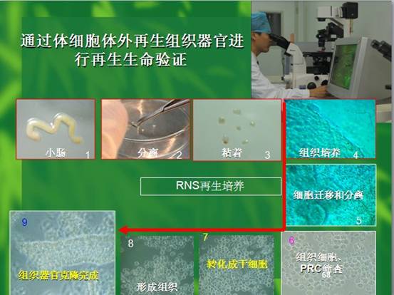 k8凯发(中国游)官方网站-APP下载