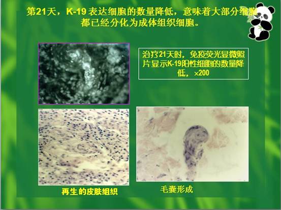 k8凯发(中国游)官方网站-APP下载