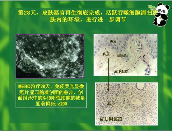 k8凯发(中国游)官方网站-APP下载