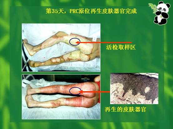 k8凯发(中国游)官方网站-APP下载