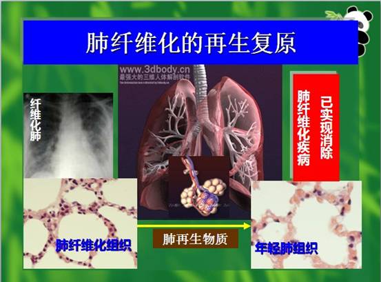 k8凯发(中国游)官方网站-APP下载