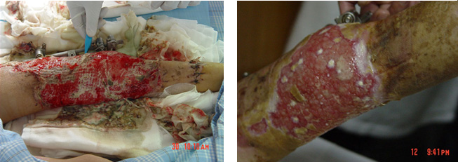 k8凯发(中国游)官方网站-APP下载