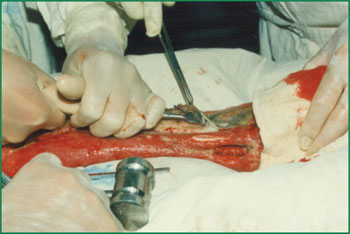 k8凯发(中国游)官方网站-APP下载