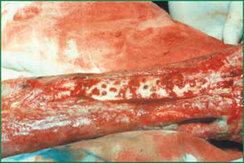 k8凯发(中国游)官方网站-APP下载