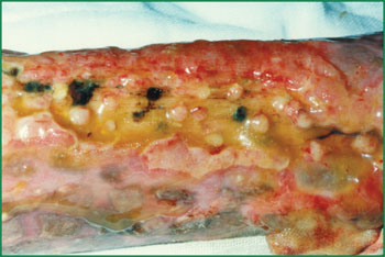 k8凯发(中国游)官方网站-APP下载