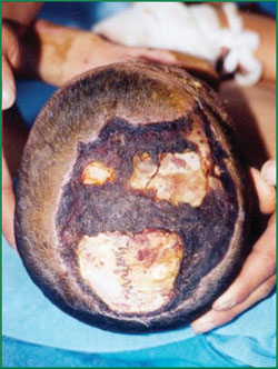 k8凯发(中国游)官方网站-APP下载