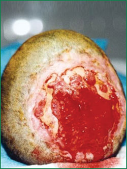 k8凯发(中国游)官方网站-APP下载