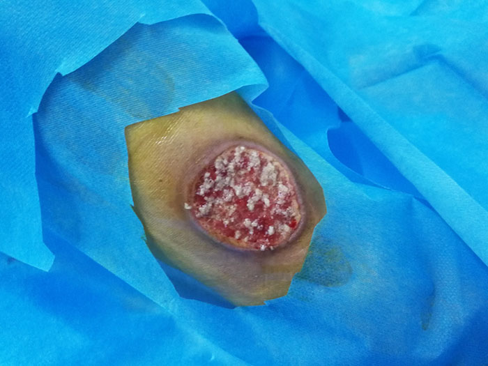 k8凯发(中国游)官方网站-APP下载