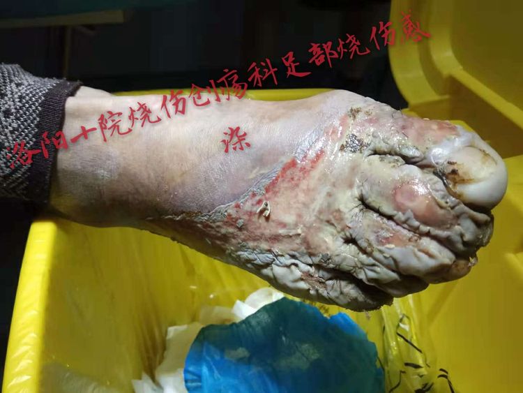 k8凯发(中国游)官方网站-APP下载