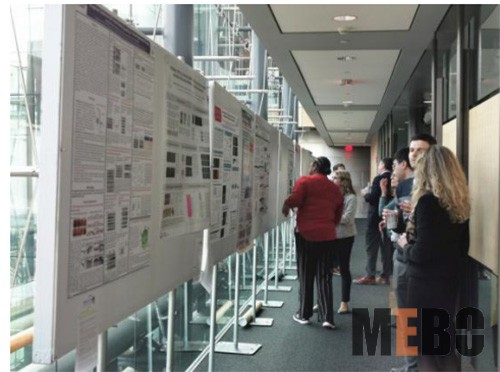 k8凯发(中国游)官方网站-APP下载