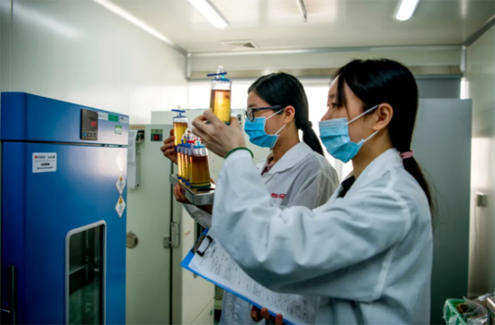 k8凯发(中国游)官方网站-APP下载