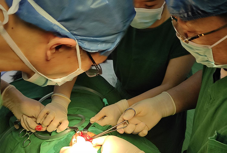 k8凯发(中国游)官方网站-APP下载