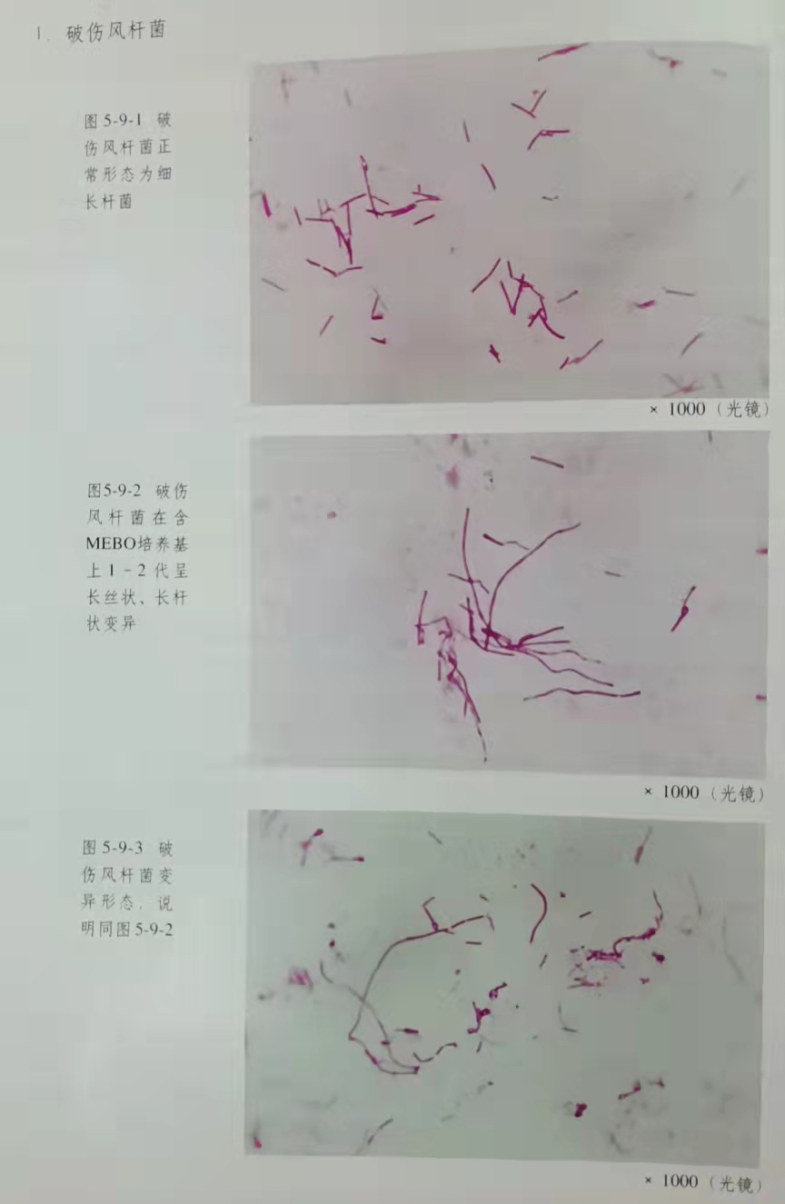 k8凯发(中国游)官方网站-APP下载