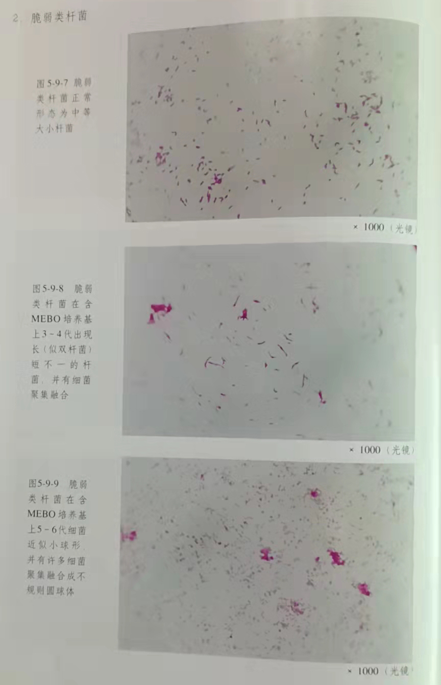 k8凯发(中国游)官方网站-APP下载