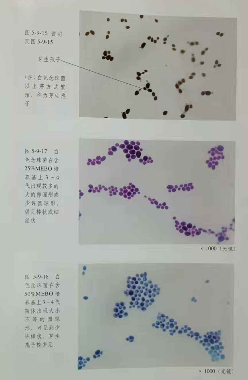 k8凯发(中国游)官方网站-APP下载