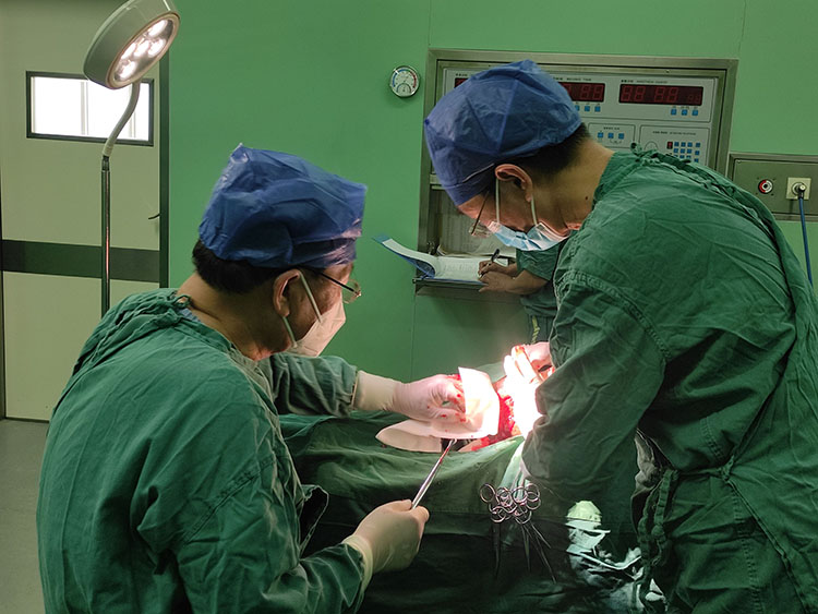 k8凯发(中国游)官方网站-APP下载