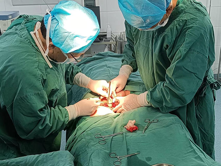 k8凯发(中国游)官方网站-APP下载