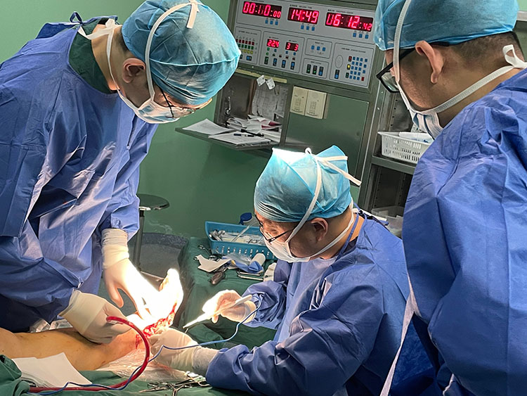 k8凯发(中国游)官方网站-APP下载