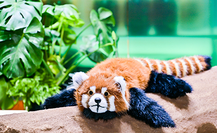 k8凯发(中国游)官方网站-APP下载