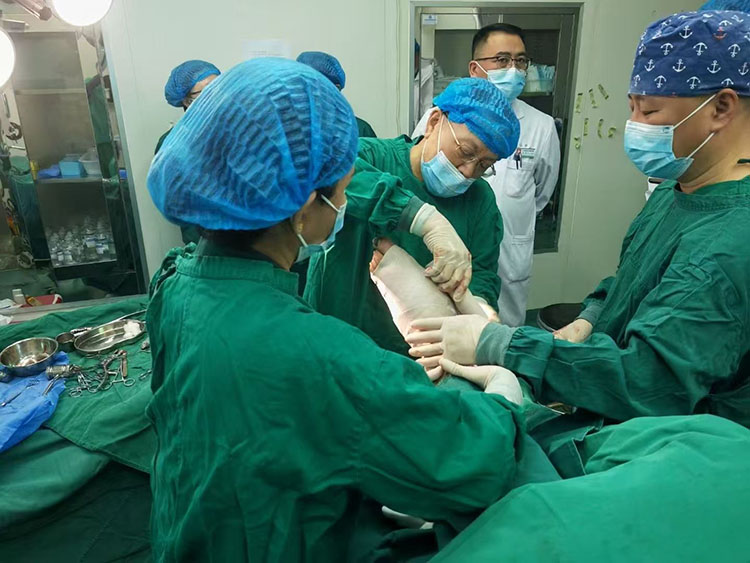 k8凯发(中国游)官方网站-APP下载