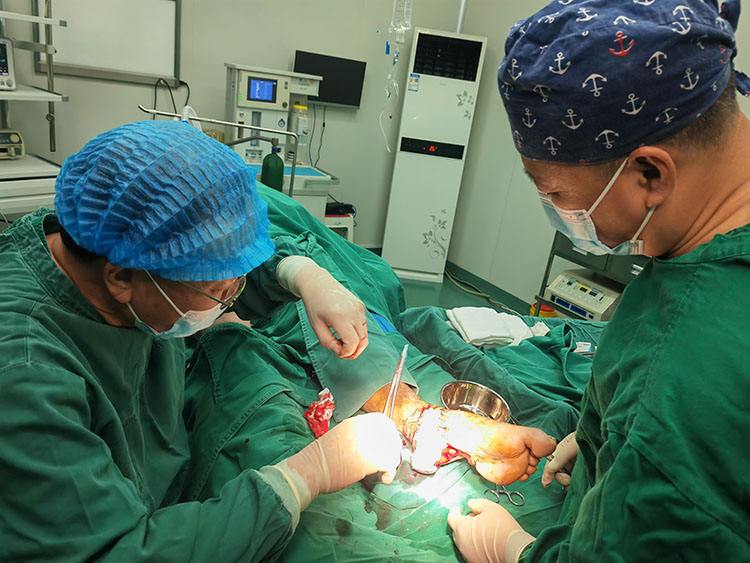 k8凯发(中国游)官方网站-APP下载