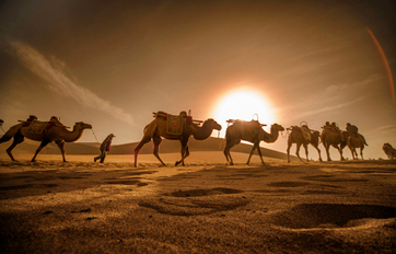 凯发k8国际 “一带一起”建议培训平台