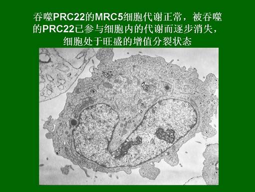 k8凯发(中国游)官方网站-APP下载