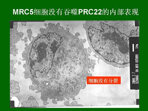 k8凯发(中国游)官方网站-APP下载