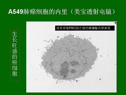 k8凯发(中国游)官方网站-APP下载