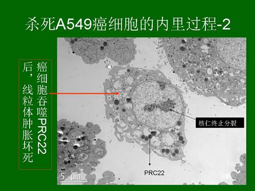 k8凯发(中国游)官方网站-APP下载