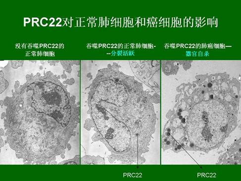 k8凯发(中国游)官方网站-APP下载