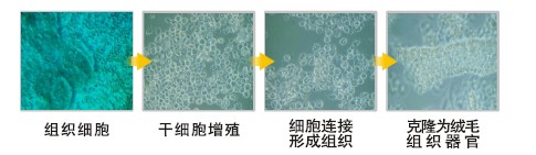 k8凯发(中国游)官方网站-APP下载