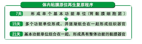 k8凯发(中国游)官方网站-APP下载
