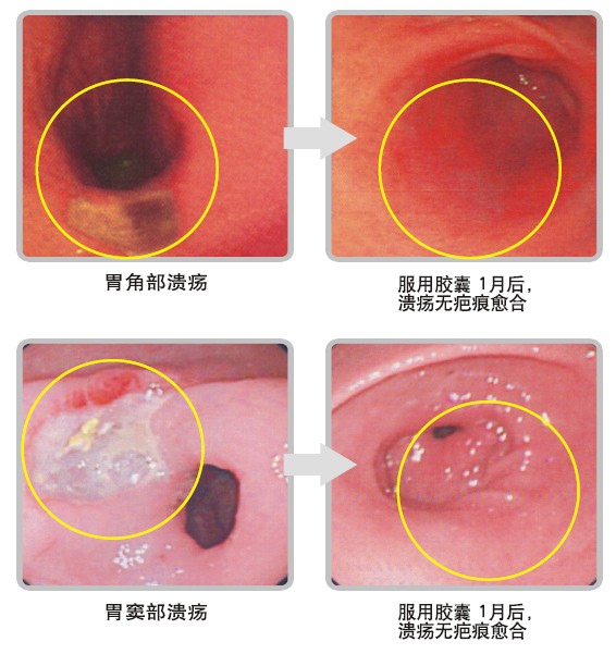 k8凯发(中国游)官方网站-APP下载