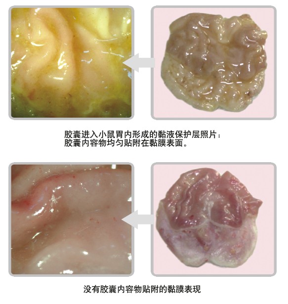 k8凯发(中国游)官方网站-APP下载