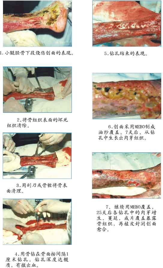 k8凯发(中国游)官方网站-APP下载