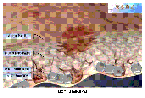 k8凯发(中国游)官方网站-APP下载