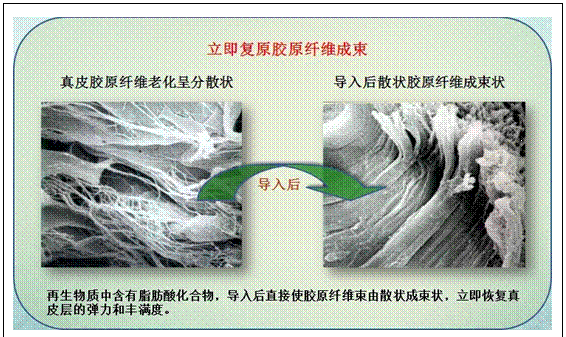 k8凯发(中国游)官方网站-APP下载