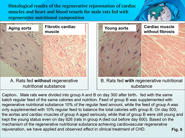 k8凯发(中国游)官方网站-APP下载