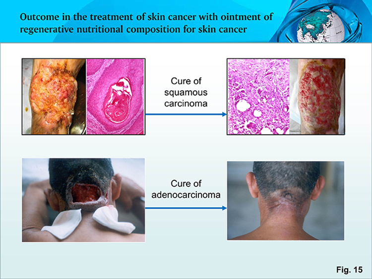 k8凯发(中国游)官方网站-APP下载