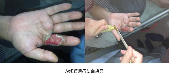 k8凯发(中国游)官方网站-APP下载